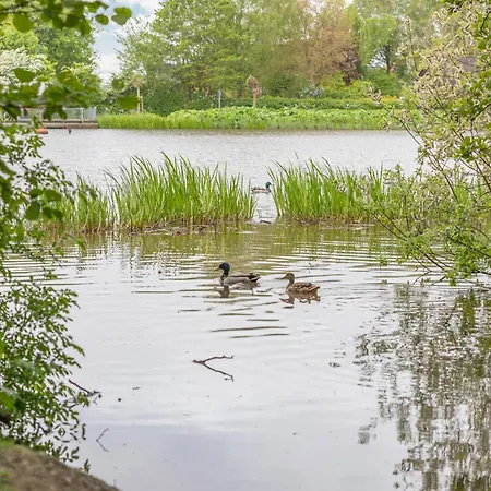 Alte Wassermuehle Hollebek
