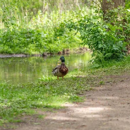 Alte Wassermuehle Hollebek Lejlighed